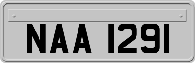 NAA1291