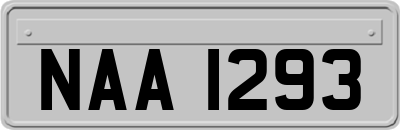 NAA1293