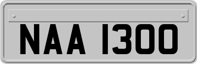 NAA1300