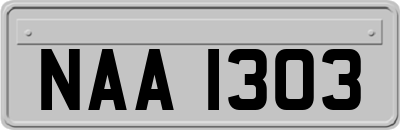 NAA1303