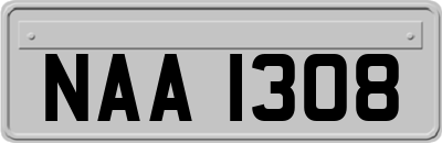 NAA1308