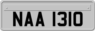 NAA1310