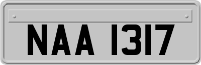 NAA1317