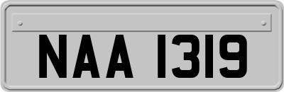 NAA1319