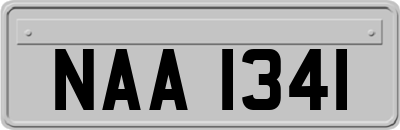 NAA1341