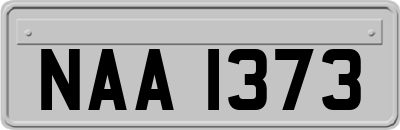 NAA1373