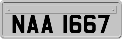 NAA1667