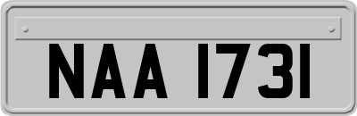 NAA1731