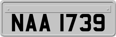 NAA1739