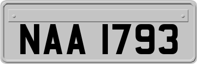 NAA1793