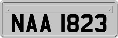 NAA1823