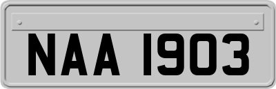 NAA1903