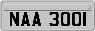NAA3001
