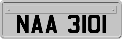 NAA3101