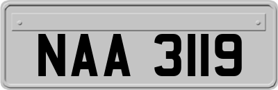 NAA3119