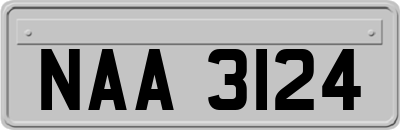 NAA3124