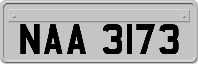 NAA3173