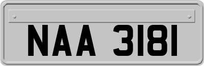 NAA3181