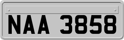 NAA3858