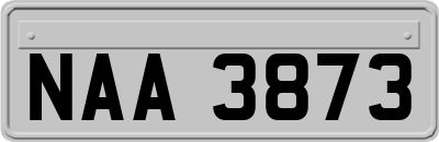 NAA3873