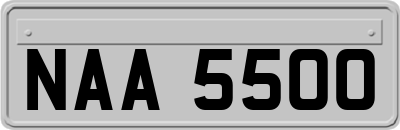 NAA5500