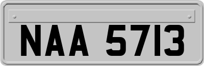 NAA5713