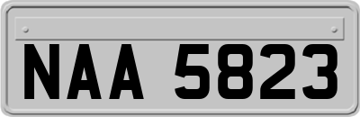 NAA5823