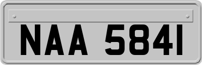 NAA5841