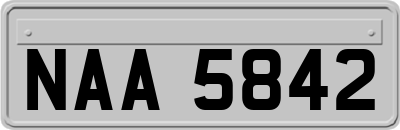 NAA5842