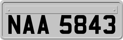 NAA5843