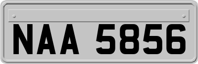 NAA5856