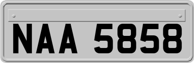 NAA5858