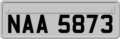 NAA5873