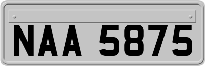 NAA5875