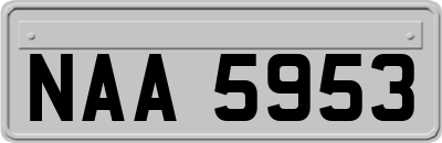 NAA5953