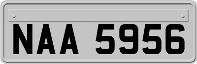 NAA5956