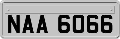 NAA6066