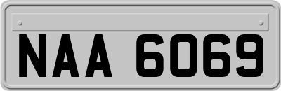 NAA6069