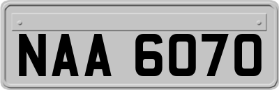 NAA6070