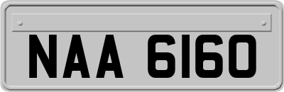 NAA6160