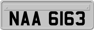 NAA6163