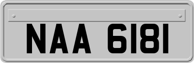 NAA6181