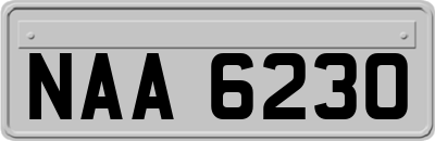 NAA6230