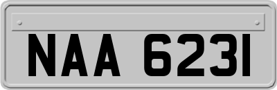 NAA6231