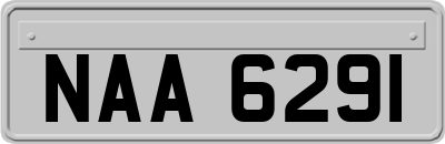 NAA6291