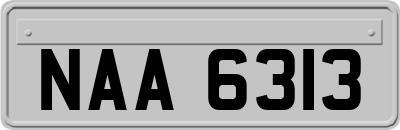 NAA6313