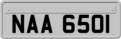 NAA6501