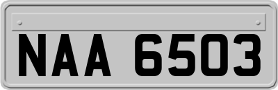 NAA6503