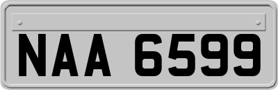 NAA6599