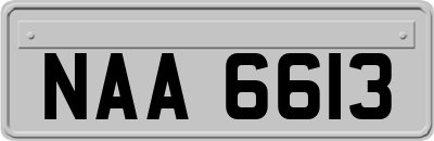 NAA6613